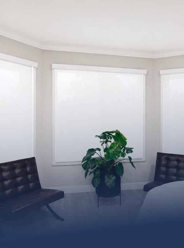Cellular Shades