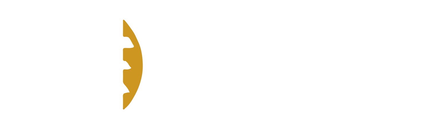 DBS Window Treatments